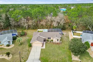 11 Carnation Ct E, Homosassa, FL 34446 - Photo 93