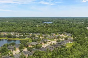 3904 Heirloom Rose Pl, Oviedo, FL 32766 - Photo 51