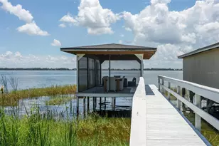 1099 Grove Ave, Mount Dora, FL 32757 - Photo 59