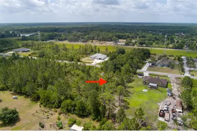 Nettleton Street, Orlando, FL 32833 - Photo 7