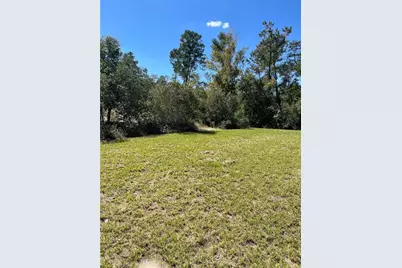 3402 SW 165th Loop, Ocala, FL 34473 - Photo 7