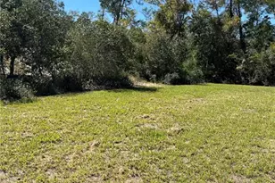3402 SW 165th Loop, Ocala, FL 34473 - Photo 7