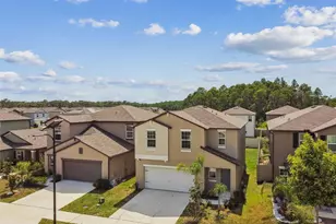 2139 Stellar Brilliance Wy, Lutz, FL 33558 - Photo 91