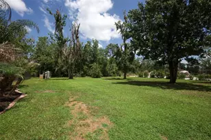 2461 Wassum Trail, Oviedo, FL 32766 - Photo 43