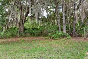 12174 W Fig Tree Ln, Crystal River, FL 34428 - Photo 33