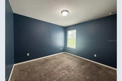 5909 Windsong Oak Drive, Leesburg, FL 34748 - Photo 21