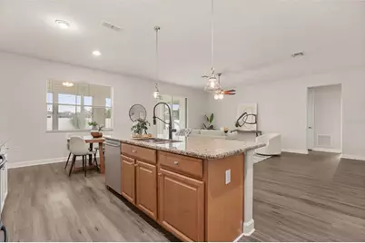 34004 Alameda Drive, Sorrento, FL 32776 - Photo 13