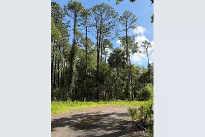 1340 Jayce Ct, Geneva, FL 32732 - Photo 3
