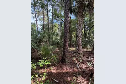 1340 Jayce Ct, Geneva, FL 32732 - Photo 5