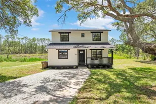 42111 Chinaberry Ct, Eustis, FL 32736 - Photo 1