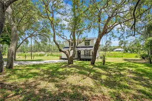 42111 Chinaberry Ct, Eustis, FL 32736 - Photo 3