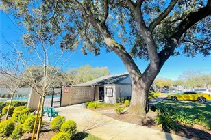 4034 Dream Oak Pl, Tampa, FL 33613 - Photo 23