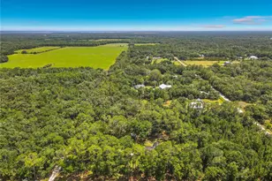 1395 Maytown Rd, Osteen, FL 32764 - Photo 59