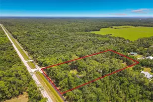 1395 Maytown Rd, Osteen, FL 32764 - Photo 7