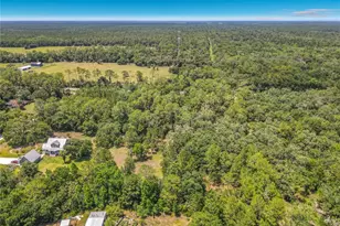 1395 Maytown Rd, Osteen, FL 32764 - Photo 63