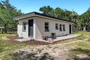 16116 Wallace St, Umatilla, FL 32784 - Photo 33