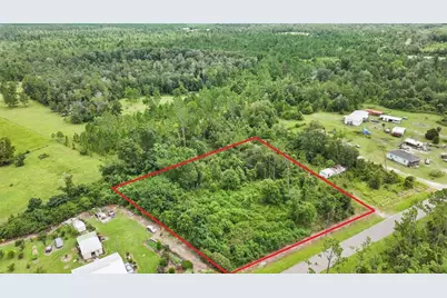Old Panama, Wewahitchka, FL 32465 - Photo 1
