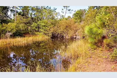 1177 Pfundstein Road, Babson Park, FL 33827 - Photo 13