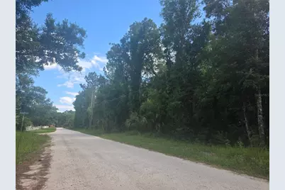 0 Sweetwater Trail #Lot 145, Kissimmee, FL 34747 - Photo 5