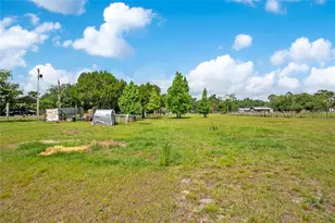 1341 N Fort Christmas Rd, Christmas, FL 32709 - Photo 31
