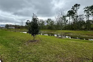 3037 Canary Ave, Davenport, FL 33837 - Photo 27