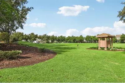 6412 Golden Dewdrop Trail, Windermere, FL 34786 - Photo 35