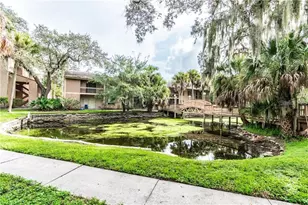 7502 Needle Leaf Pl, Tampa, FL 33617 - Photo 17