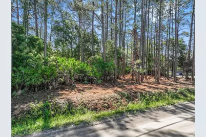 2679 Forest Park Street, Bunnell, FL 32110 - Photo 3