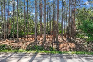 2679 Forest Park St, Bunnell, FL 32110 - Photo 1