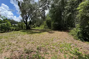 308 S Blue Lk Ave, Deland, FL 32724 - Photo 7