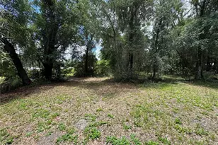 308 S Blue Lk Ave, Deland, FL 32724 - Photo 9