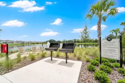 33460 Binding Ties Lane, Wesley Chapel, FL 33545 - Photo 59