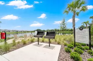 33460 Binding Ties Ln, Wesley Chapel, FL 33545 - Photo 59