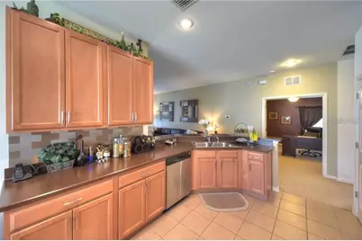 11355 Flora Springs Drive, Riverview, FL 33579 - Photo 11