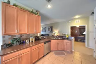 11355 Flora Springs Dr, Riverview, FL 33579 - Photo 11