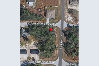 Locust Pass Course #32, Ocala, FL 34470 - Photo 3