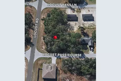 Locust Pass Course #14, Ocala, FL 34470 - Photo 5
