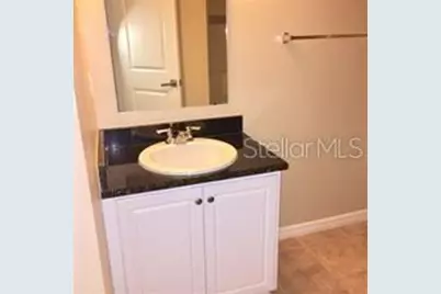 6728 Bridgewater Village Road, Windermere, FL 34786 - Photo 9