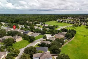 30115 Cheval St, Mount Dora, FL 32757 - Photo 69
