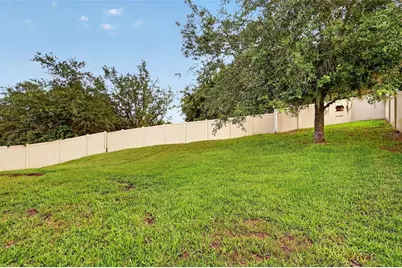 30115 Cheval Street, Mount Dora, FL 32757 - Photo 29