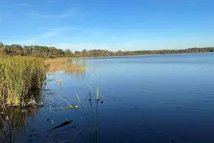 17708 Sawgrass Run, Deer Island, FL 32778 - Photo 67