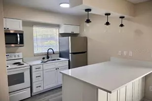 1228 E Muriel St, Orlando, FL 32806 - Photo 25
