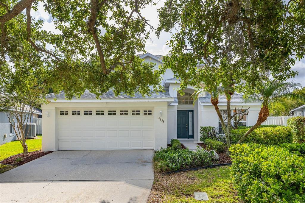 4638 Raintree Ridge Rd - 4638 Raintree Ridge Rd, Orlando, FL 32837 Luxury Property | Jose Angel Pina