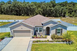 6084 Claystone Wy, Mount Dora, FL 32757 - Photo 91