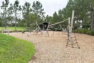 12526 Rangeland Blvd, Odessa, FL 33556 - Photo 21