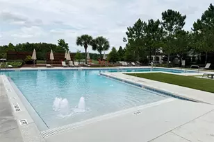 12526 Rangeland Blvd, Odessa, FL 33556 - Photo 17
