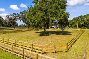 196 NW 100th Ave, Ocala, FL 34482 - Photo 37