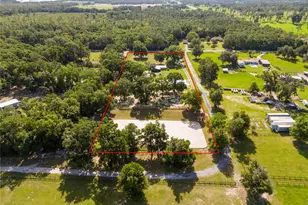 196 NW 100th Ave, Ocala, FL 34482 - Photo 53