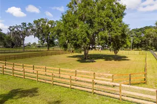 196 NW 100th Ave, Ocala, FL 34482 - Photo 39