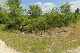 383 Carole Rd NW, Lake Placid, FL 33852 - Photo 1